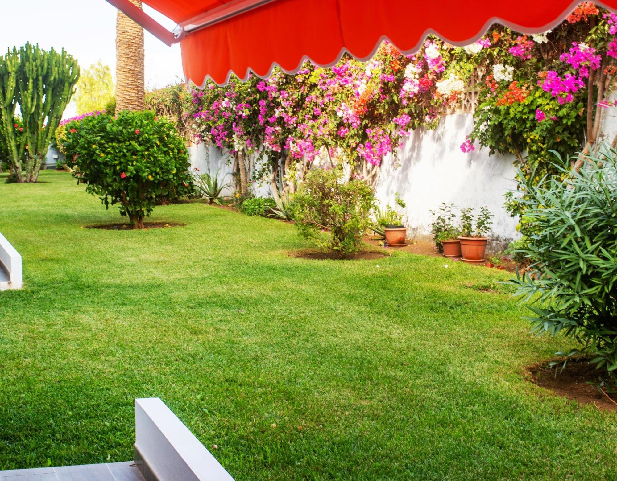 Casa Tranquila Apartment Puerto de la Cruz  Exterior photo